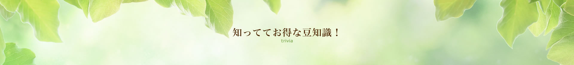 知っててお得な豆知識！